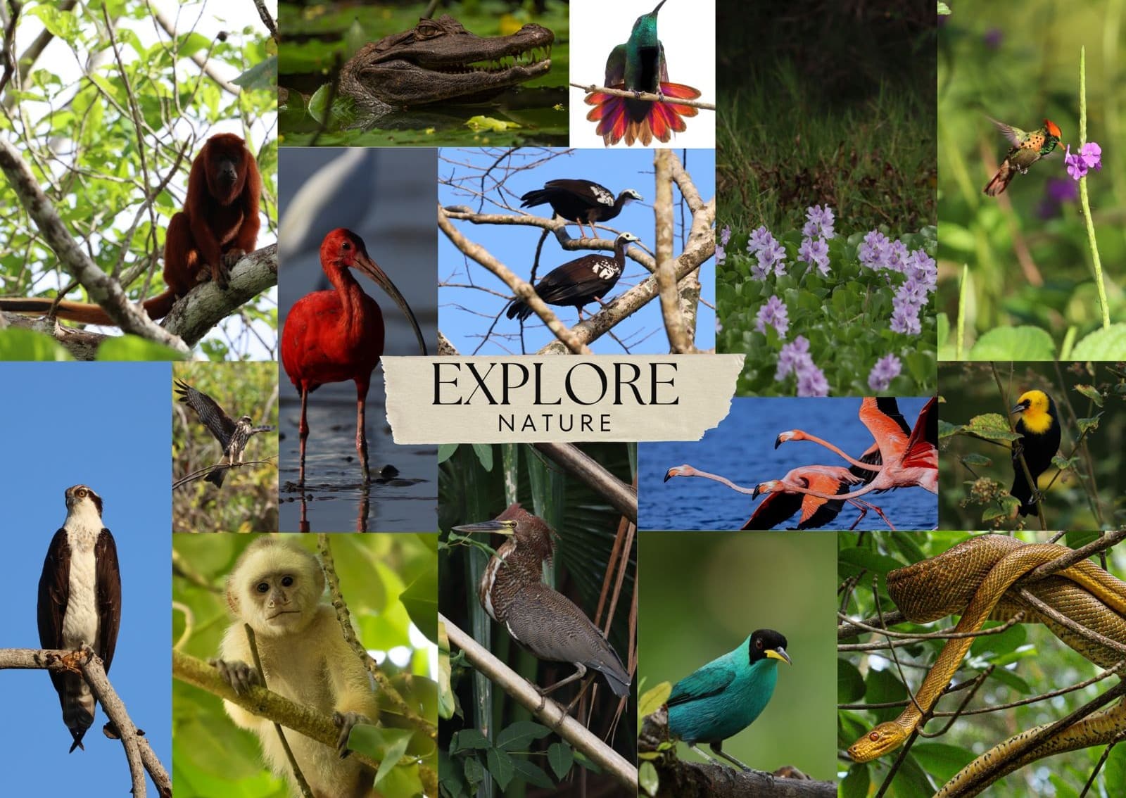 Wilder Nature Tours